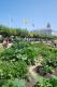 About Slow Food Nation's Victory Garden